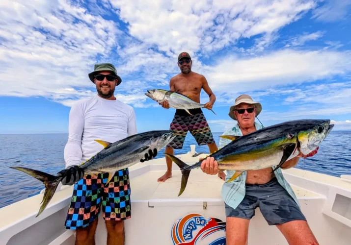Thons jaunes capturés dans l'archipel des Radama à Madagascar