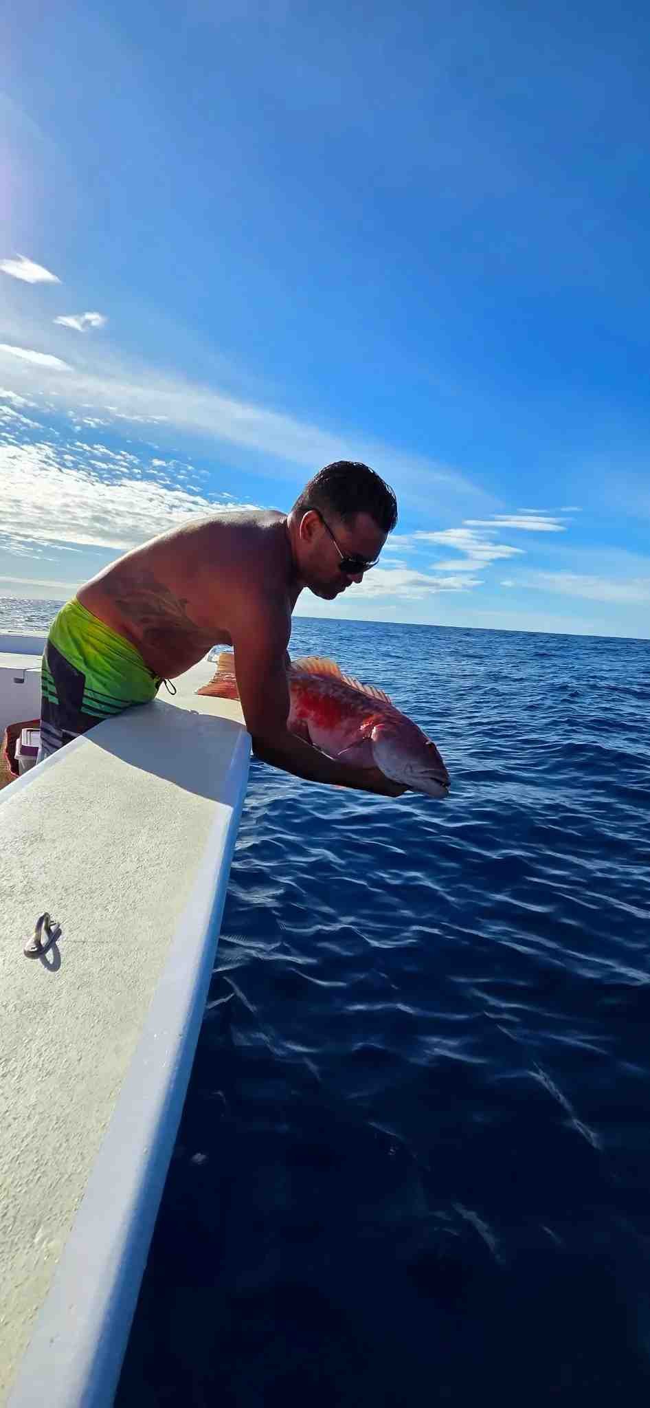 Catch and release d’un Mérou croissant queue jaune à Nosy Mitsio, Madagascar